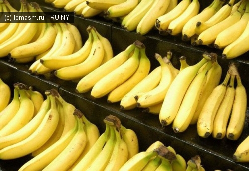 Бананы, как и бразильские орехи, являются источником излучения. Но, если в случае бразильских орехов дерево «высасывает» радиацию из земли, то бананы страдают излучением из-за генетического кода. До того как вы ринетесь закапывать свои бананы в освинцованных гробах, стоит знать, что для того, чтобы получить лучевую болезнь надо съесть около 5 миллионов бананов. Так что, можно не беспокоиться — к моменту, когда человек будет доедать свой пятимиллионный банан, он уже, наверное, сам станет бананом. Тем не менее, излучение от них можно определить счётчиками Гейгера.